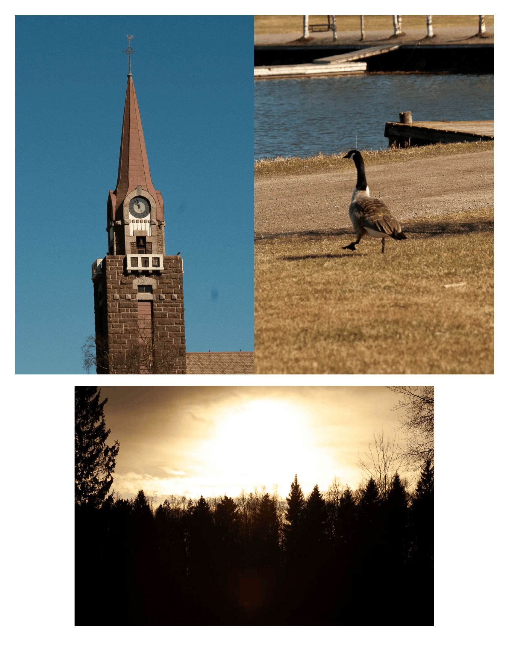 Pictures